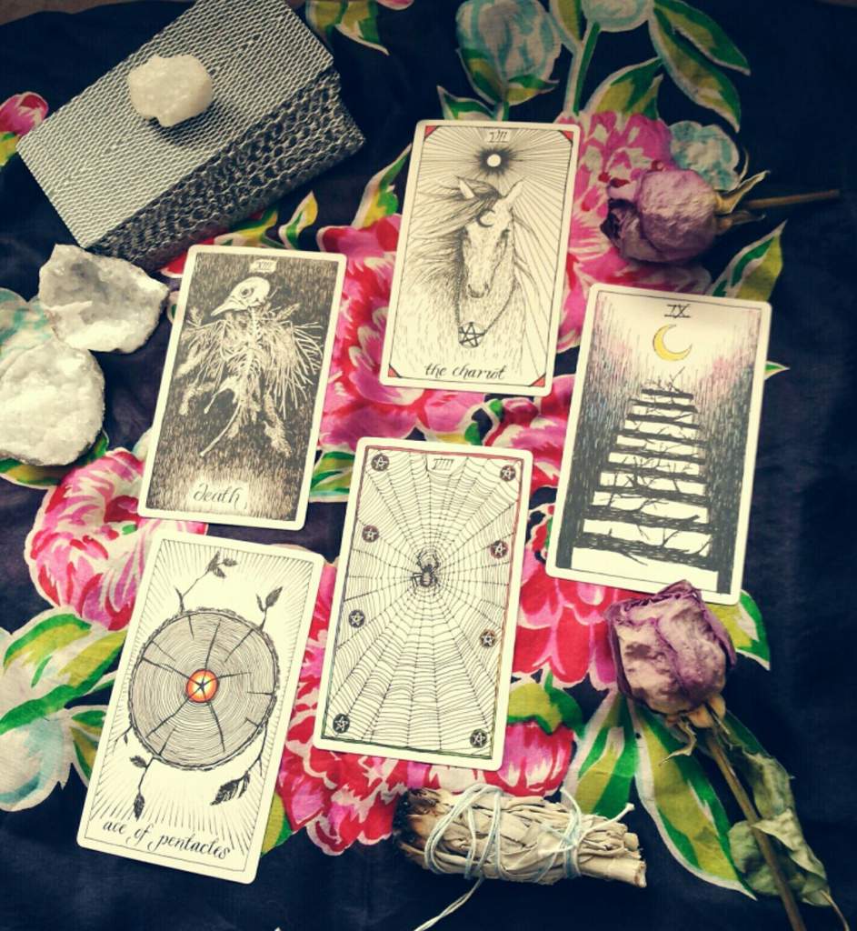 Tarot Spread: Connecting With Your Guide | Pagans & Witches Amino