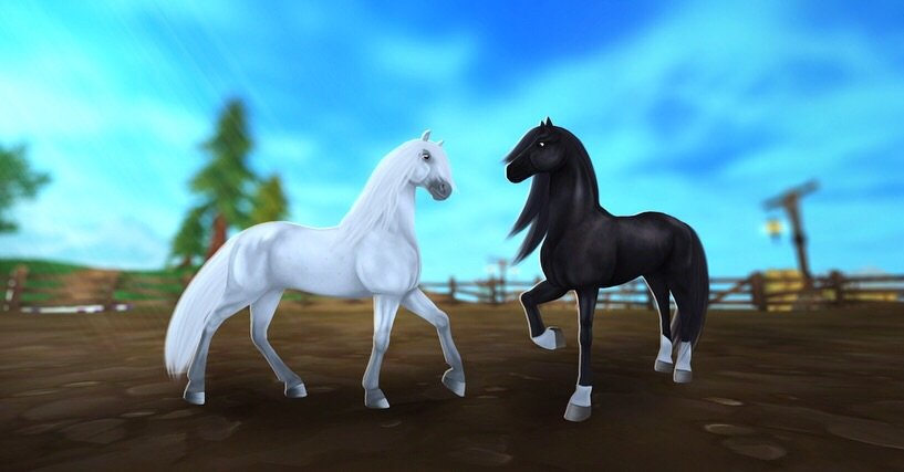 Creative Connemara’s Application | Star Stable Online Amino