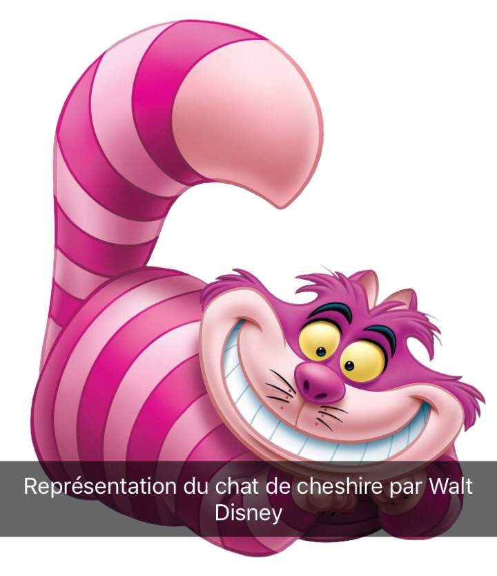 Cheshire Cat Wiki Arts Ocs Fr Amino