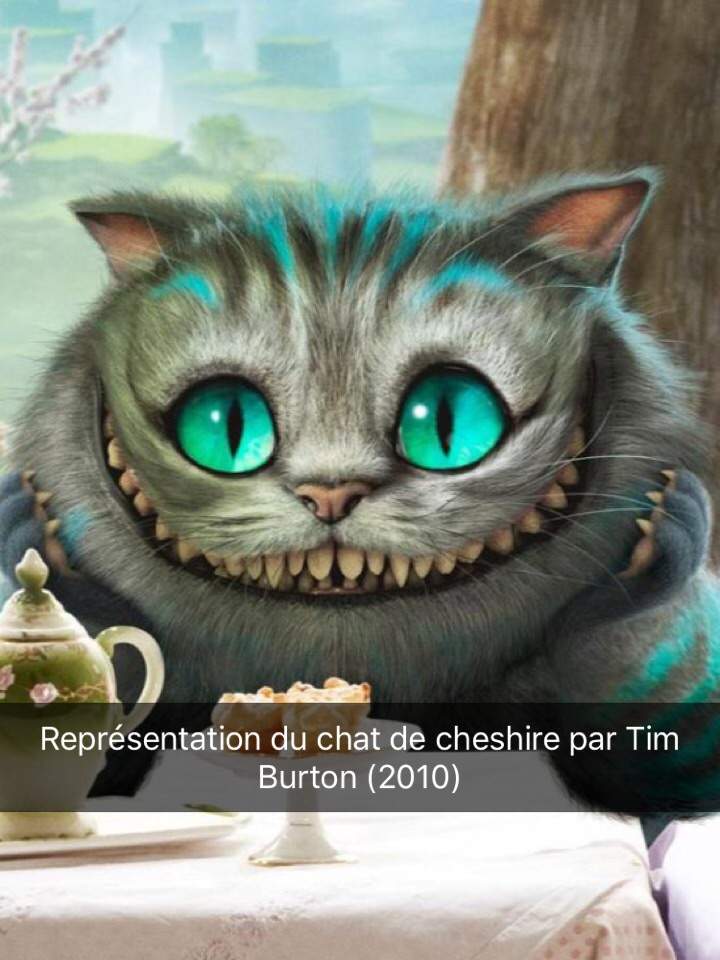 Cheshire Cat Wiki Arts Ocs Fr Amino