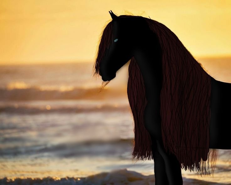 Featured image of post How To Draw Friesian Horses / Friesian party | bellasio :