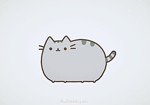 pusheen cat angry