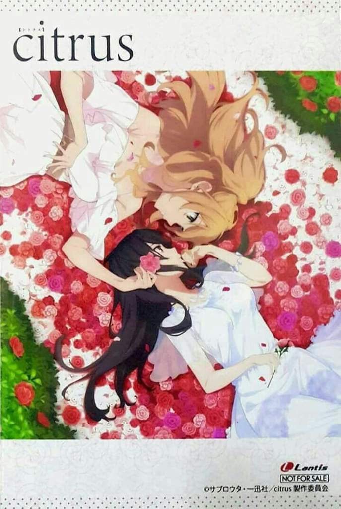 Featured image of post Citrus Anime Yuri Para Dibujar