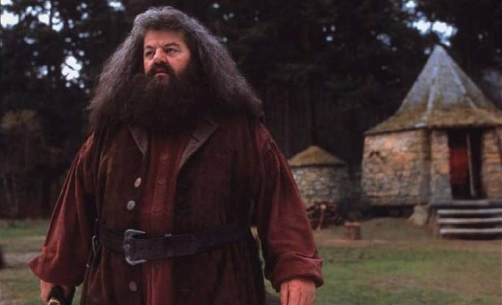 Hagrid's Hut | Wiki | •Harry Potter• Español Amino