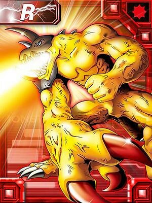 デジモンカード　ニューヒーロー　1カートン 71CpALGz3+L._UF894,1000_QL80_.jpg