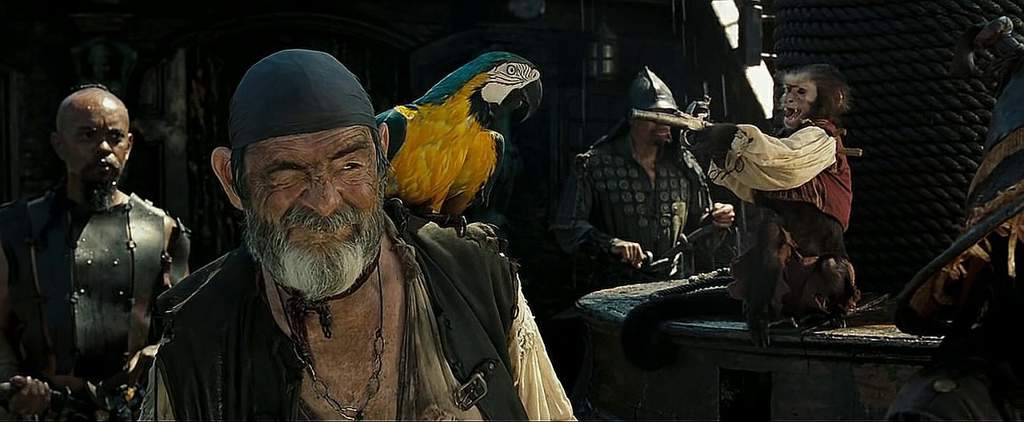 Пират с попугаем на плече фото