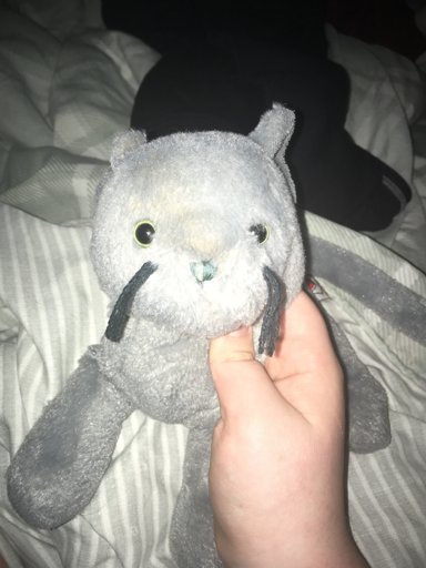 webkinz charcoal cat