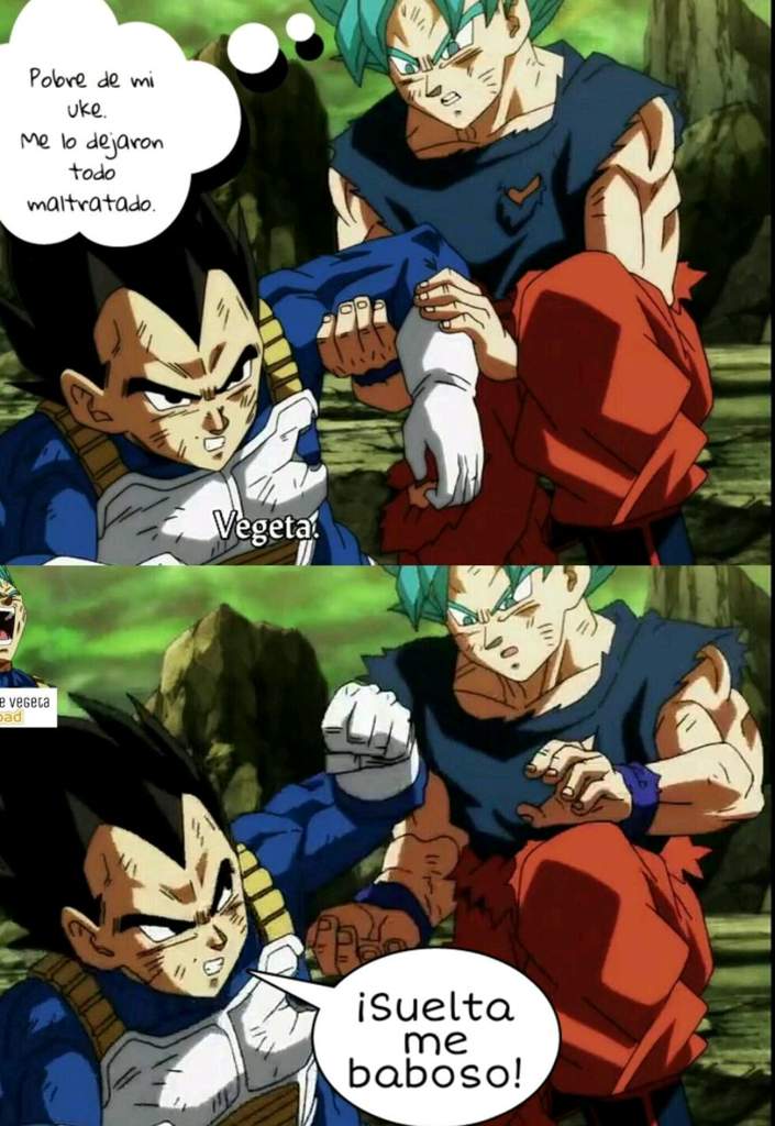 vegeta catches goku