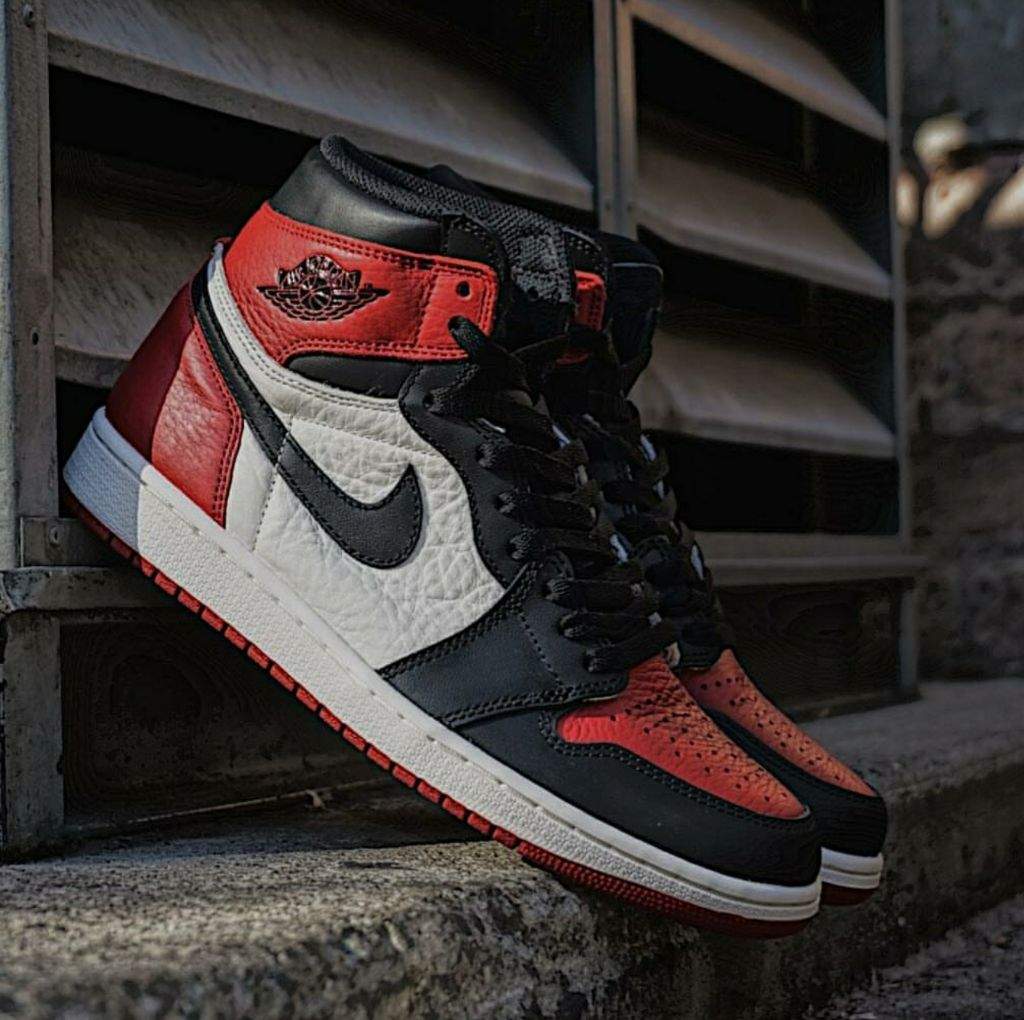 stock x bred toes