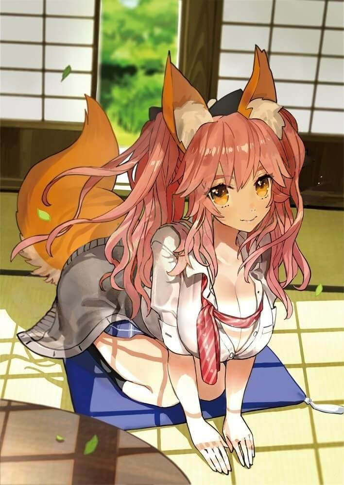 Tamamo No Mae Wiki Fate Amino Amino