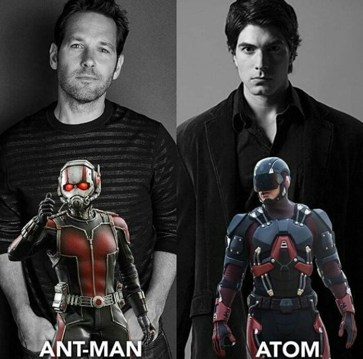 Atom Vs Ant Man