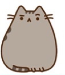 I ask pusheen a question | Pusheen The Cat Amino Amino