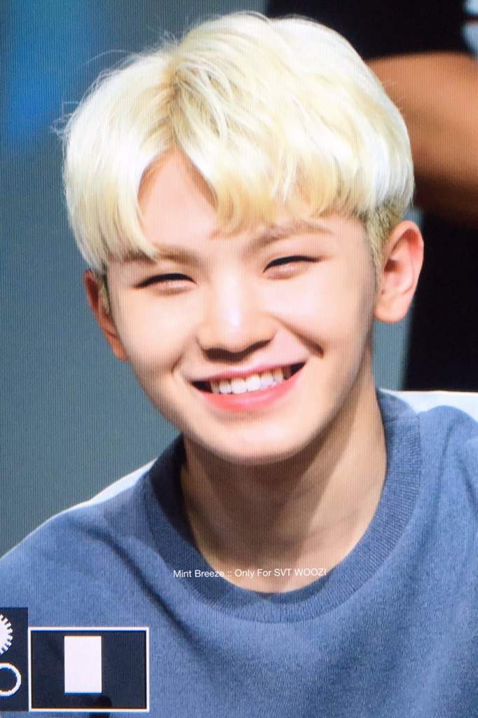 woozi; smile | Carat 캐럿 Amino