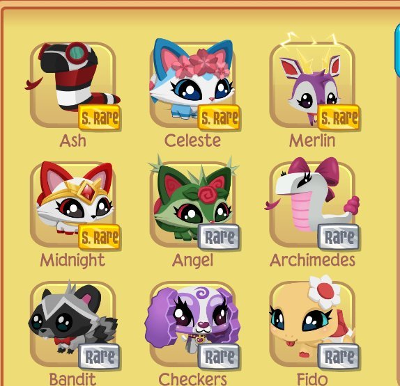 Can you find this glitch anywhere else? Dash Tag Amino (DTA) Amino