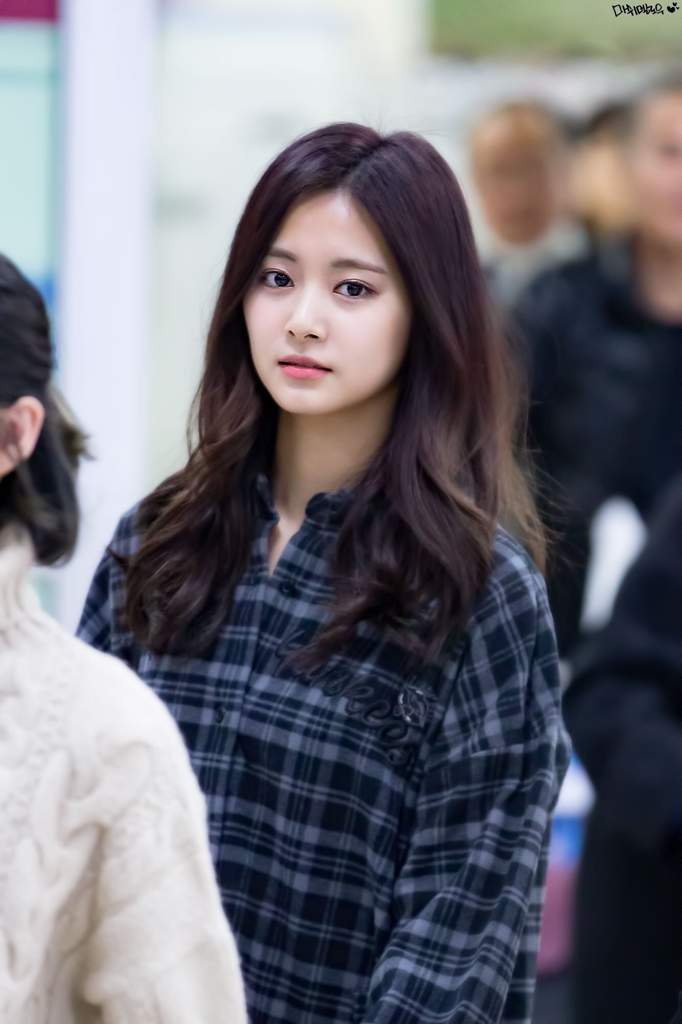 My Beautiful Little Tzuyu At The Airport Twice 트와이스 ㅤ Amino