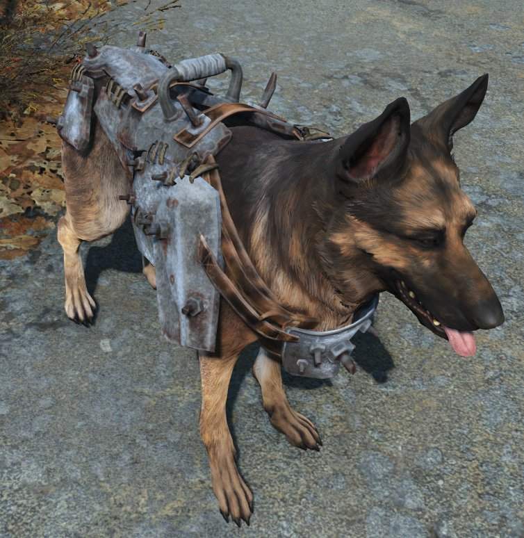 fallout 4 wounded dog mod