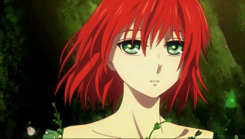 Chise Hatori | The Ancient Magus' Bride TAMB Amino