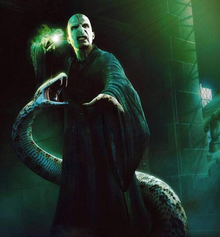 Lord Voldemort’s mysterious snake-horcrux, Nagini. | Harry Potter Amino