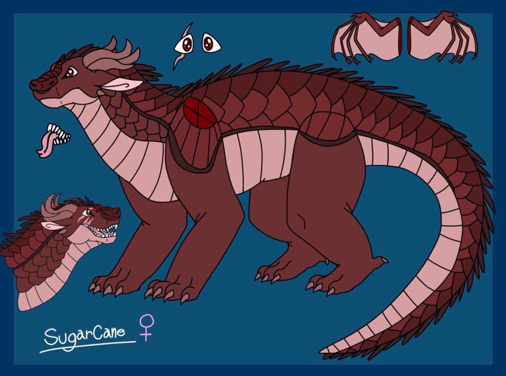 💫 seawing dragonet adopts 💫 | Wings Of Fire Amino