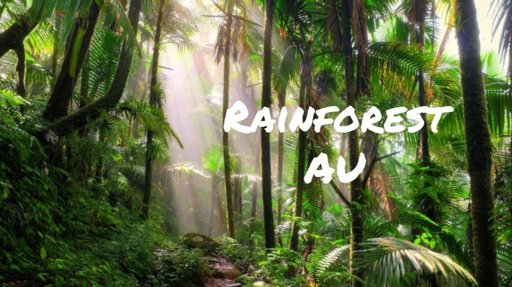 DDLC Rainforest AU | Wiki | Doki Doki Literature Club! Amino