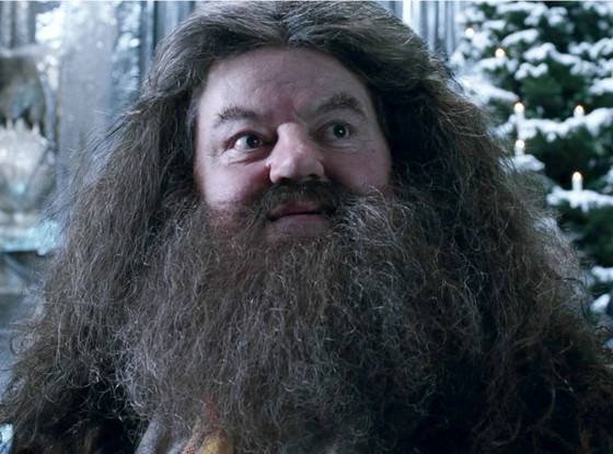 hagrid rubeus harry potter