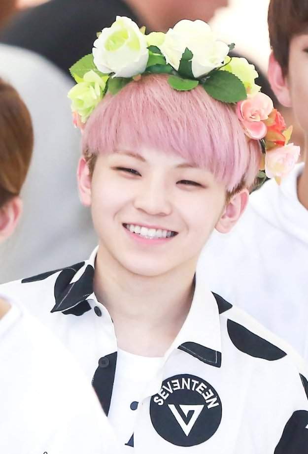 🌱•WOOZI•||•LEE JI HOON•🌱 | Wiki | -;🌱;;변태 아빠 Amino