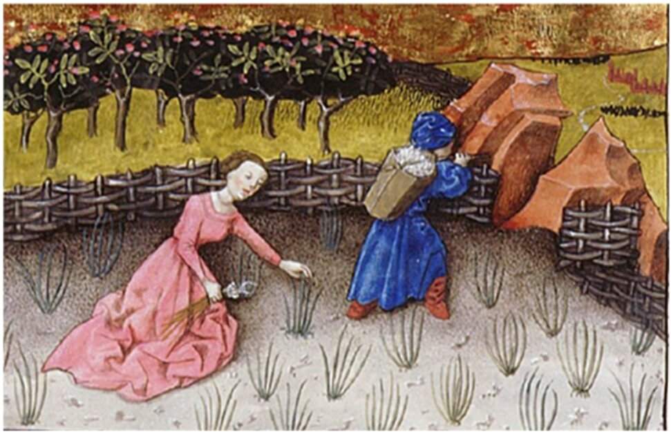 Resultado de imagen de trabajo de la mujer en el medievo