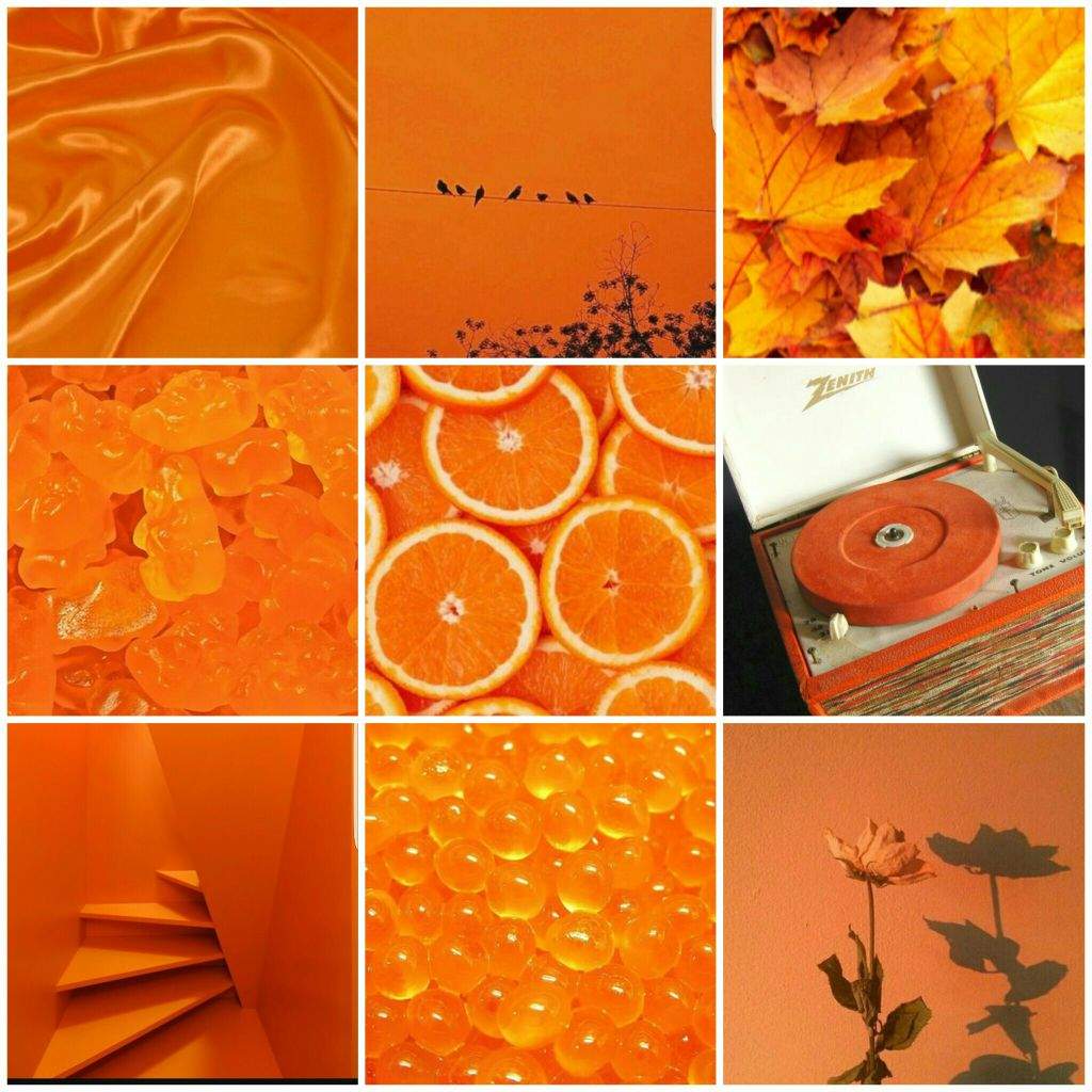  Orange  aesthetic  Aesthetic  World Amino