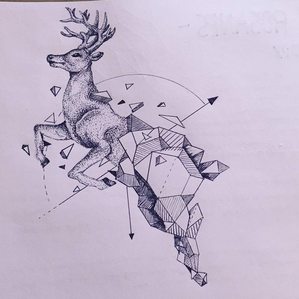 deer artists
