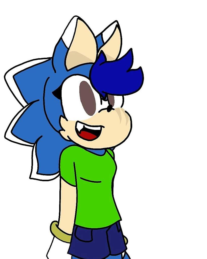 Amethyst K. Hedgefox | Wiki | Sonic the Hedgehog! Amino