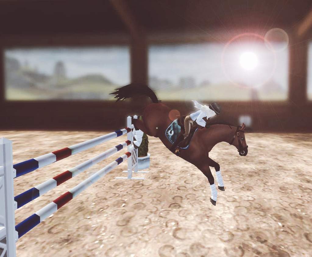 How To Take Show Jumping Pictures Star Stable Online Amino