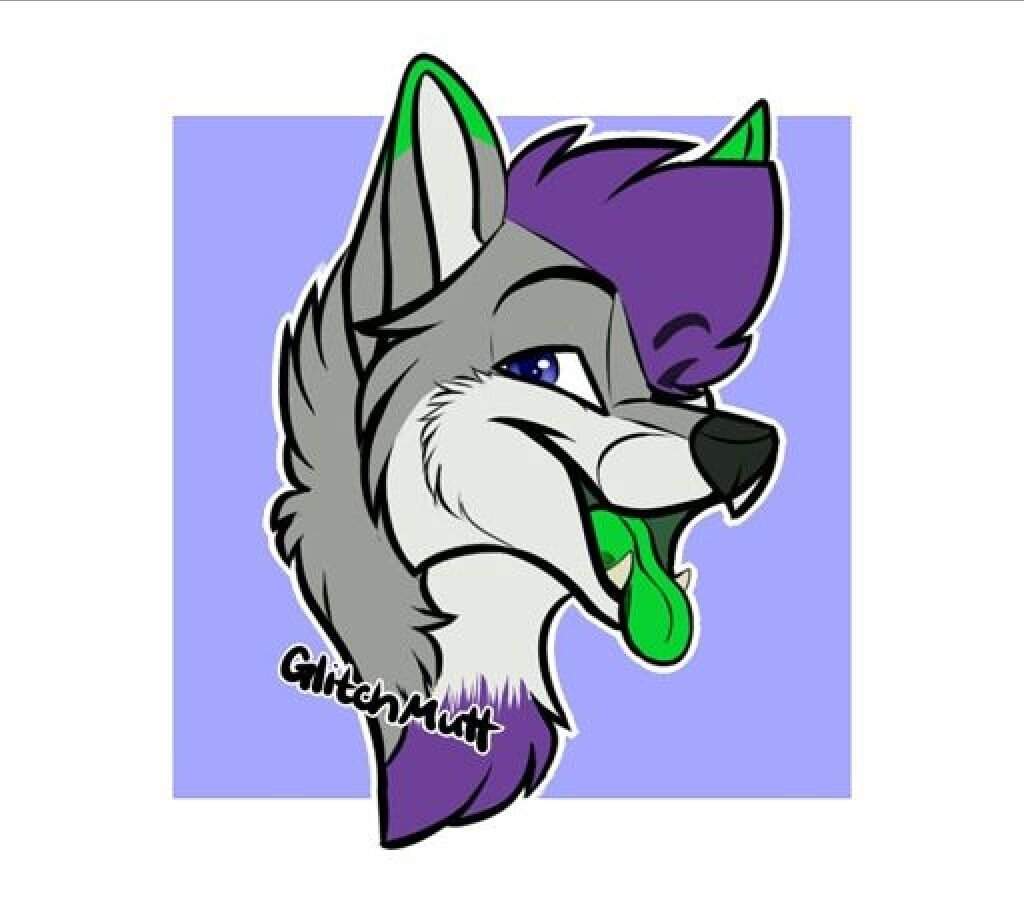 Rufus Arctos | Wiki | Furry Amino