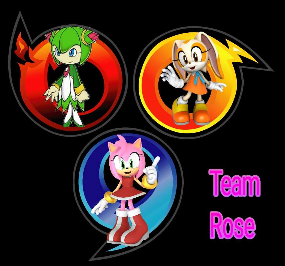 sonic heroes team rose