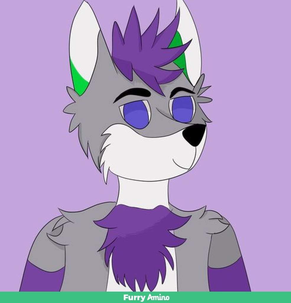 Rufus Arctos | Wiki | Furry Amino