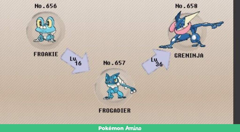 Pokemon Froakie Evolution Chart