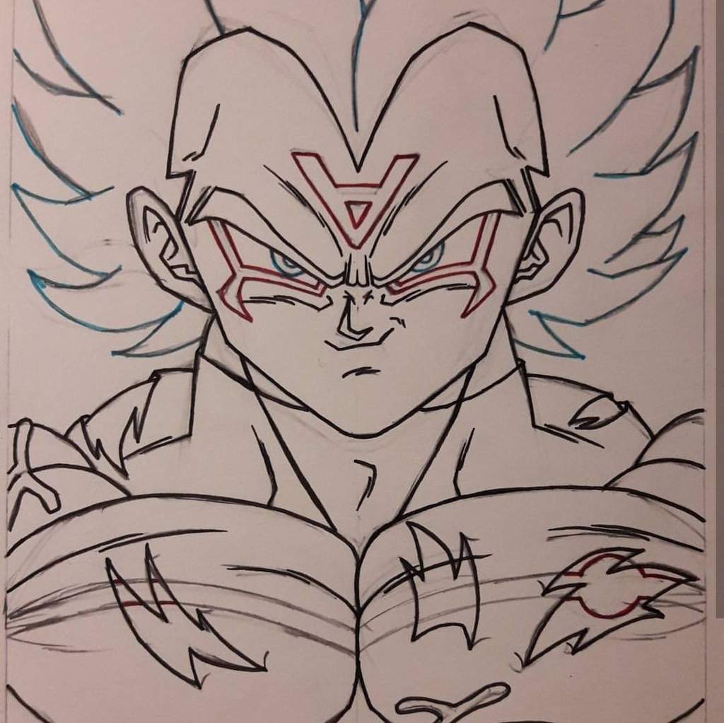 omni vegeta