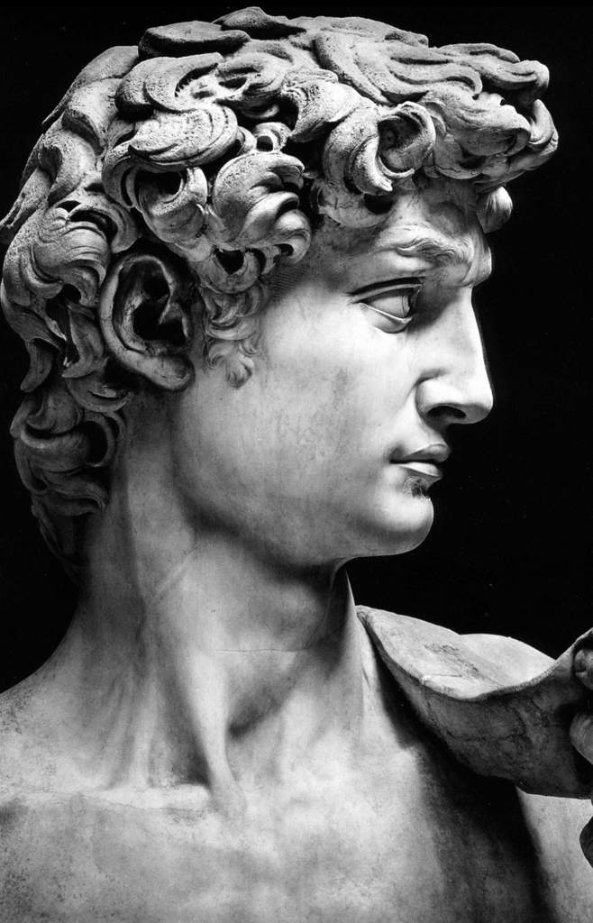 Michelangelo's Poetry | Books & Writing Amino