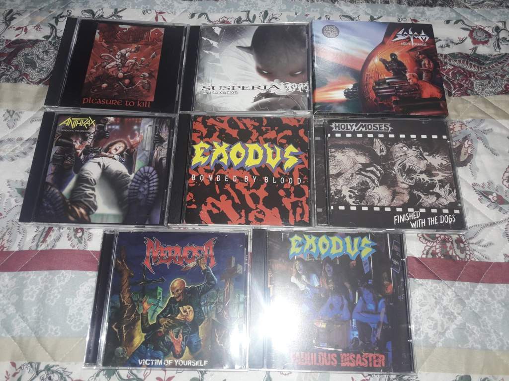 My Thrash Metal Cd Collection Metal Amino