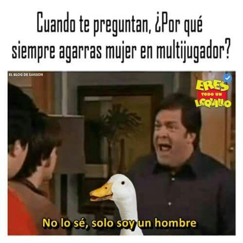 Algunos Memes #204 | •Meme• Amino