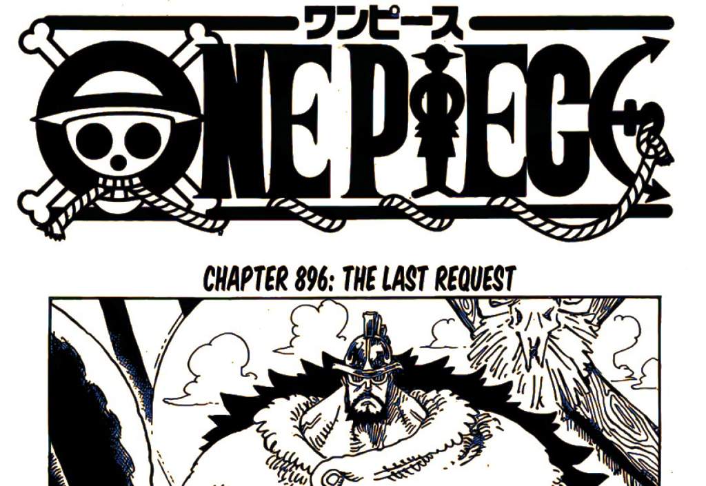 One Piece 896