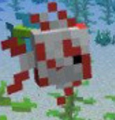 Tropical Fish In My Aquarium | Minecraft Amino