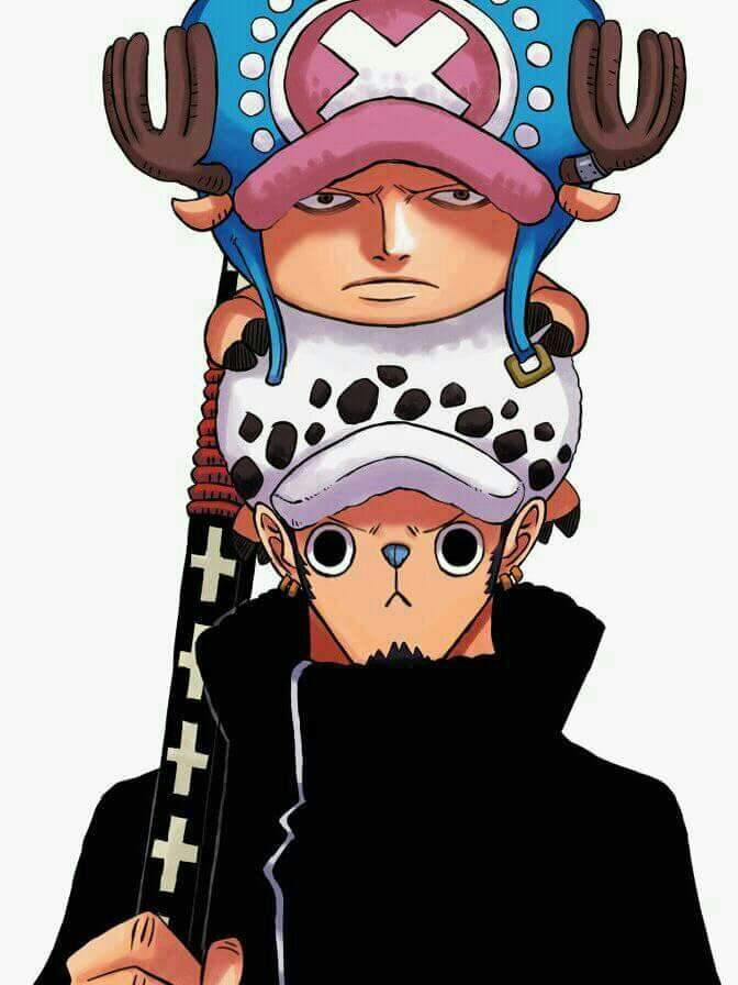 one piece law and chopper