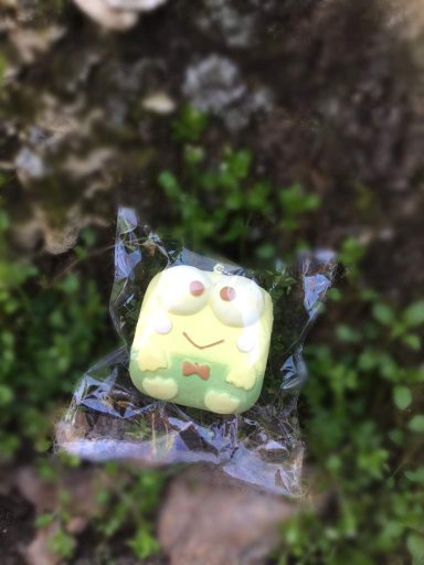 Smooshy mushy package!!  Squishy Love Amino