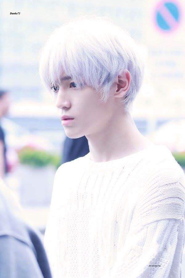 Taeyong White Silver Blonde Hair 