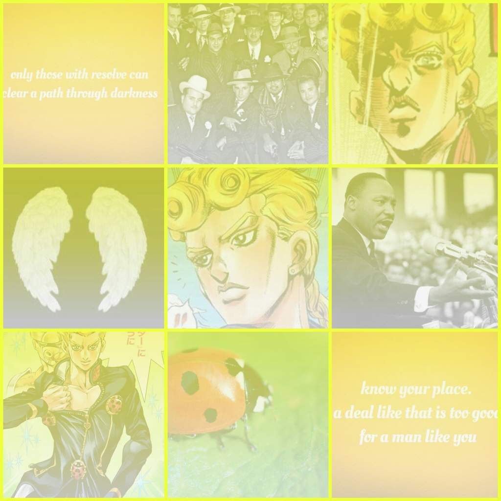 Passione Aesthetics Jojo Amino Amino 3453