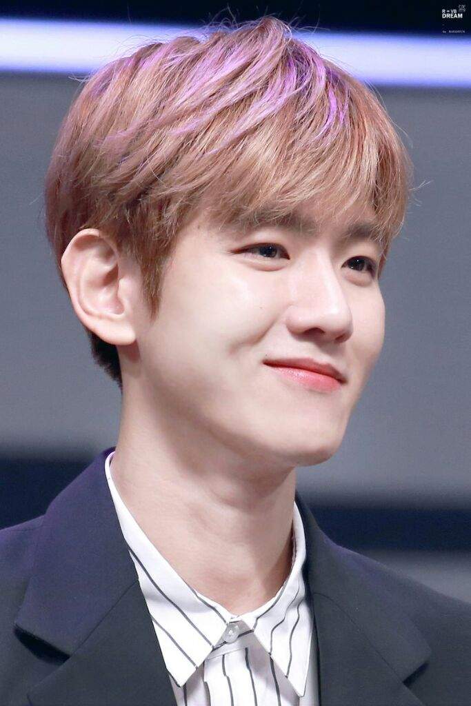 Baekhyun's Smile :) | EXO (엑소) Amino