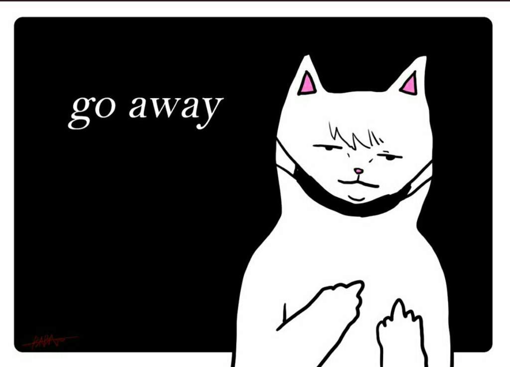 The Trending Go Away Cat 🐱🖕😂 | ARMY's Amino
