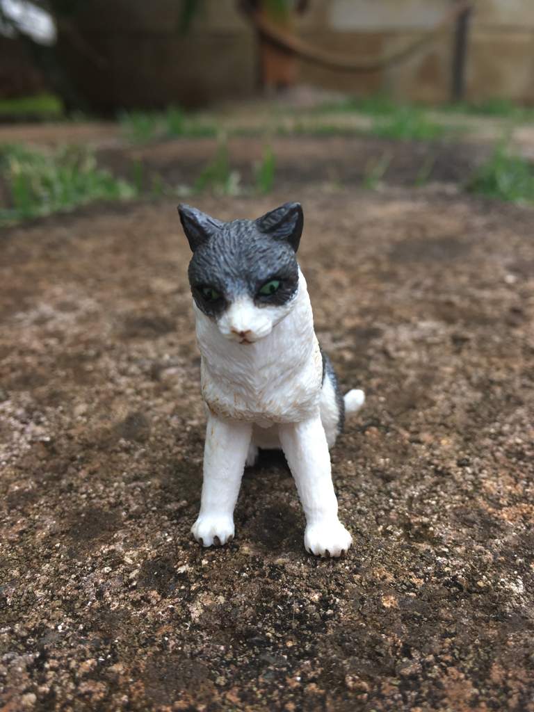 Schleich Warrior Cat Pictures | Schleich Amino