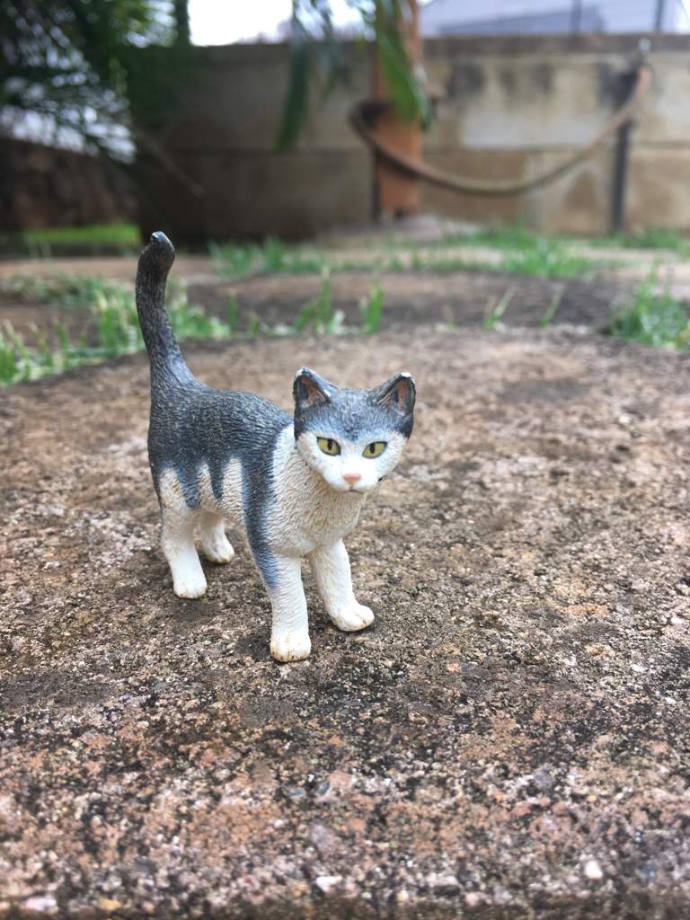 Schleich Warrior Cat Pictures | Schleich Amino