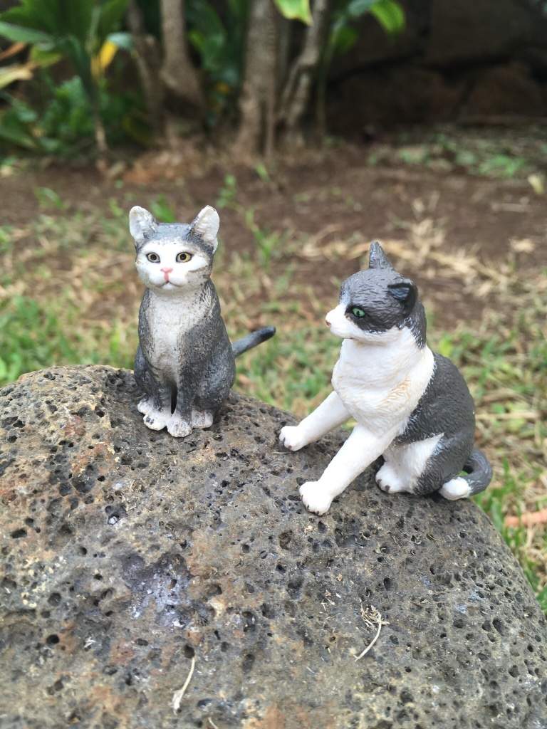 Schleich Warrior Cat Pictures | Schleich Amino